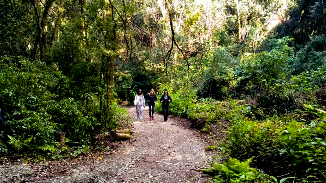 Foto de Caminata