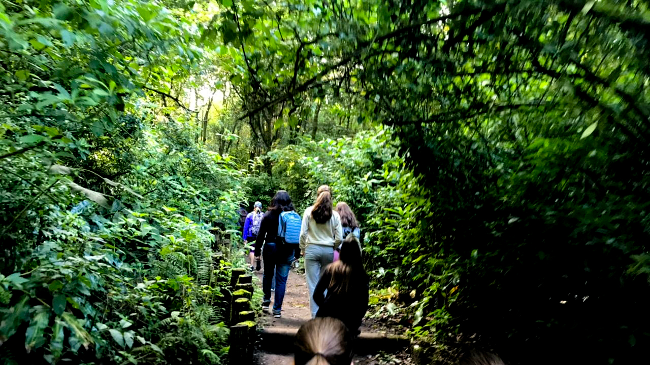 Foto de Caminata