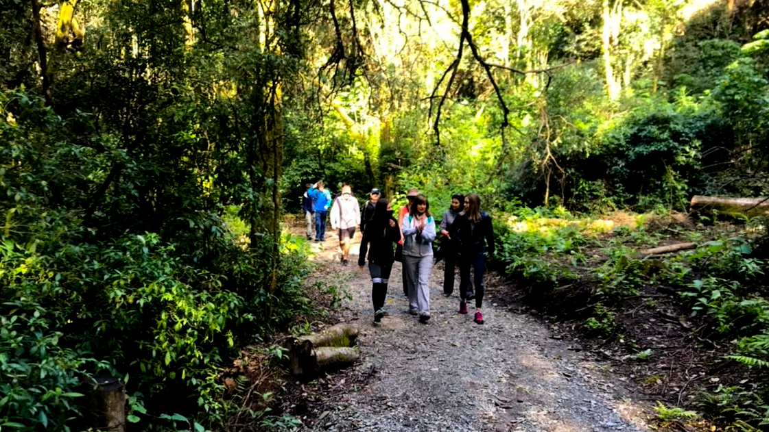 Foto de Caminata