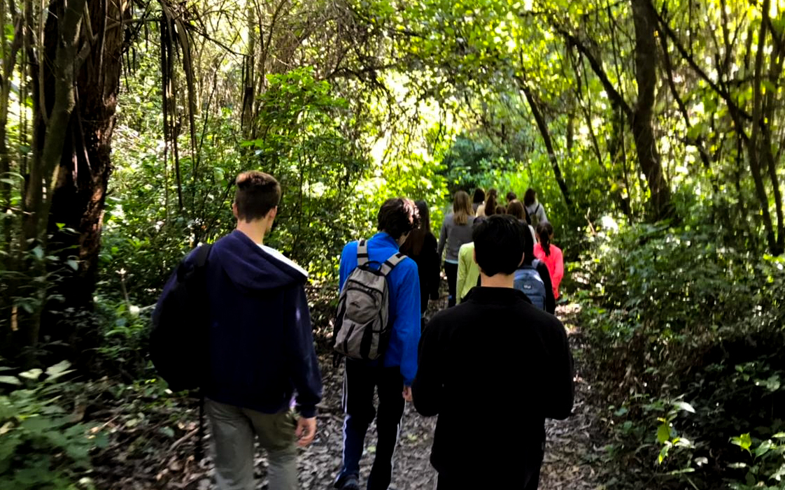 Foto de Caminata
